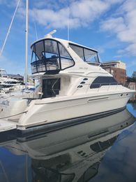 Reelaxin Charters and Weddings LLC Bayliner Boat image 0