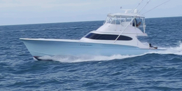 Game Changer Charters Billy Holton Boat image 0