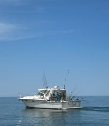 Reel Nauti Charters LLC Tiara 36 open Boat image 0