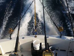 Purple Jet Sport Fishing Henriques Boat image 0
