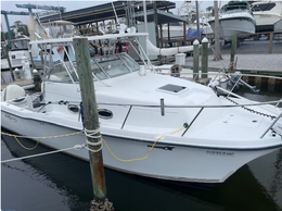 Taz's Excursions ProKat Boat image 0