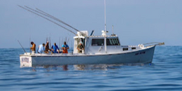 Mad Hatter Charters BHM Boat image 0