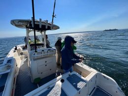 Cut Plug Charters Grady-White Boat image 0