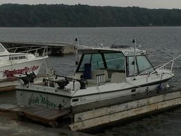 Irish Rover Sportfishing Penn Yan 265 hard top Pro Hunter Boat image 0