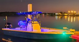 Strippin Lips Fishing Charters Baycraft Boat image 0