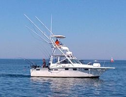 SunMoon Adventures Tiara boat image 0