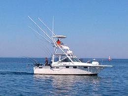 SunMoon Adventures Tiara Boat image 0