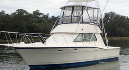 Reel Twisted Charters Hatteras 36 Boat image 0