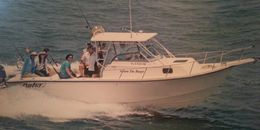 Big Fin Charters Parker (Walkaround) Boat image 0
