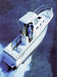 Captain Ron's Fishing Charters True World boat image 0