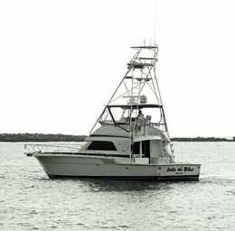 Charter Boat Into the Blue Bertram (Offshore sport fishing) boat image 0