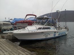 Valley of the Shadow Fishing Charters Tiara Boat image 0