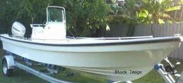 Fishing The Detroit River And Lake Panga marine (Bay boat) Boat image 0
