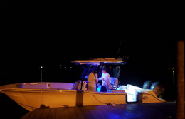 Chasing Tail Charters Seafox (Center console) boat image 0