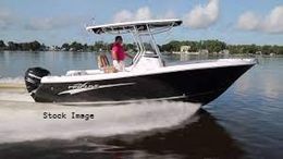 Force Feed'n Charter Fishing Pro-Line Boat image 0