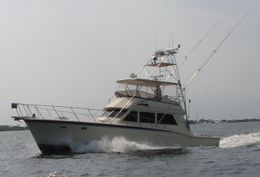 Reel Chill Charter Hatteras Boat image 0