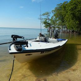 Captain Ariel Sport Fishing Charters & Marine Survey Pan Boat image 0