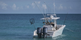 Outbound Fishing Charters Seavee Boat image 0