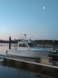 Adventure and Catch Charters Shamrock boat image 0