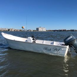 Fishpit Charters Skeecraft Boat image 0