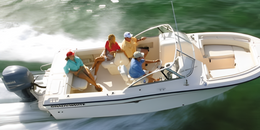 Little Secret Charters Grady White Boat image 0