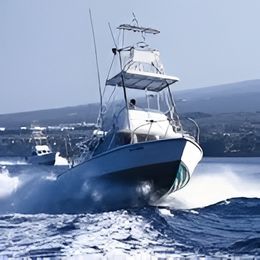 Sea Strike Bertram Boat image 0