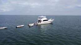 Southeastern Sportfishing Company Ocean Yachts Boat image 0