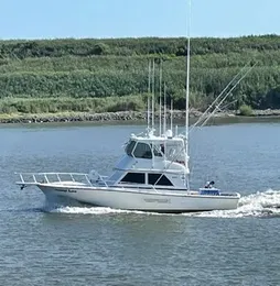 Gone Fishin’ Sport Fishing Charters Henriques boat image 0