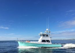 Reel Legend Fishing Charters Morris Custom-built Boat image 0
