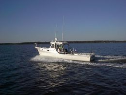 Capt. Hub's Charters Curmudgeon boat image 0