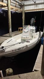 SaltyFrog Charters Skeeter Boat image 0