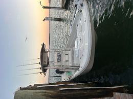 Salty dog charters Carolina skiff Boat image 0