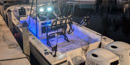 Jackie Petra Fishing Intrepid Boat image 0