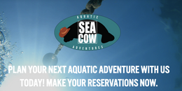 Red Alert Diving Crest Boat image 0