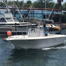 Have Fun Charter’s Proline Boat image 0