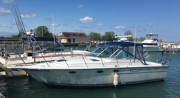 Merganzer Fishing Charters Tiara (Cruiser) boat image 0