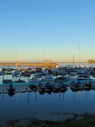 Day Five Sportfishing Charters Hewescraft boat image 0