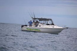 Hillbilly Express sportfishing  Century Boat image 0