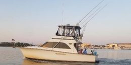 Showtime Fishing Charter Ocean Yachts Boat image 0