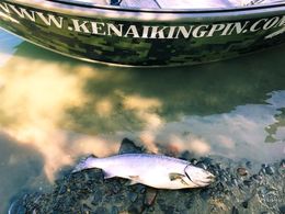 Kenai KingPin Outfitters River Wolf Boat image 0