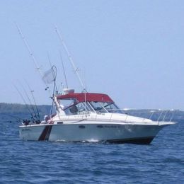 Ridge Runner SportFishing Trojan boat image 0
