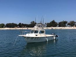 Brothers Sport Fishing Parker 2320 Pilothouse boat image 0