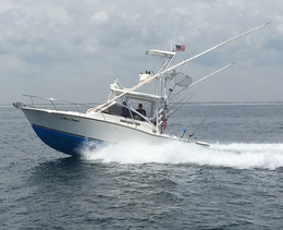 Miss Liane Sportfishing Charters Carolina Classic Boat image 0
