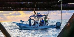 Floating Debris Charters Panga Boat image 0