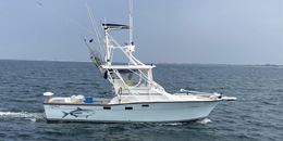 Gulf Coast Fishing Charters Topaz Boat image 0