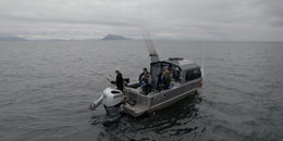 Ketchikan's Finest Fishing Charters Raider Boat image 0
