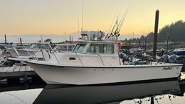 Legit Fish Sportfishing Paker Boat image 0