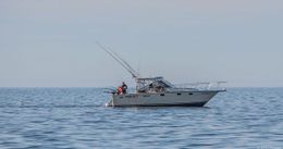 Kings Ransom Sportfishing Tiara Boat image 0