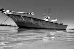 Retriever Fishing Charters Maritime Boat image 0