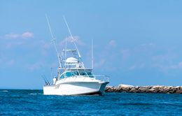 Bitchin' Fishin' Charters Albemarle boat image 0